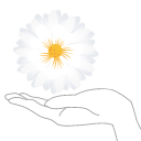 Despega en redes sociales. Creamos desde cero, o mejoramos si ya la tienes, tu presencia en redes sociales